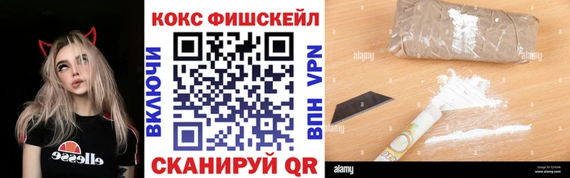 kraken как войти  Стерлитамак  Cocaine Fish Scale  цены наркотик 