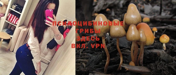 спиды Абаза