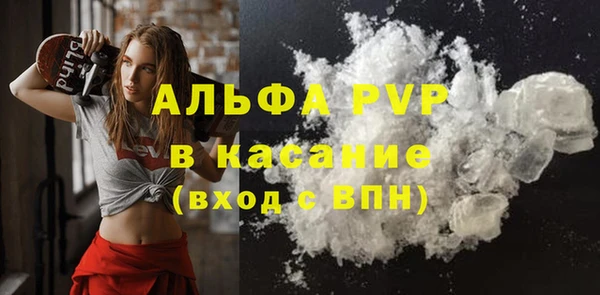 крисы Алексин