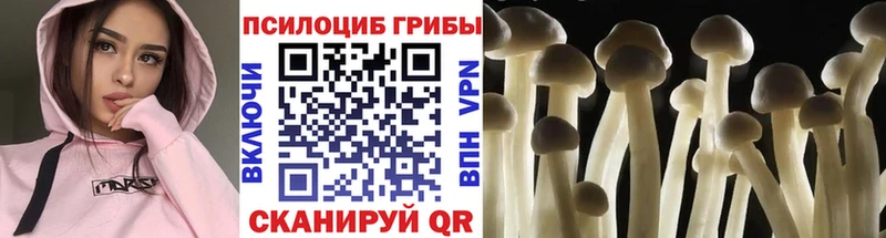 Галлюциногенные грибы Magic Shrooms кракен ТОР Стерлитамак